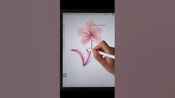 Easy Procreate Watercolor Flower Brush Set