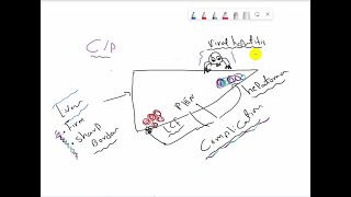 شرح liver cirrhosis (introduction in| تليف الكبد | liver cirrhosis)