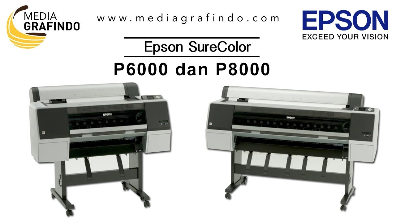 epson p 6000