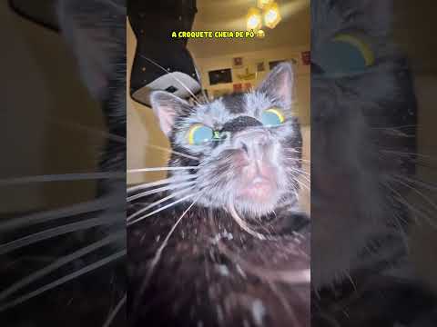 a crocat cheia de pó 😂😂