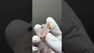 Video preview: Garden Quartz — Sichuan, China · 4 cm