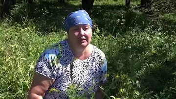 РЕПЕШОК ОБЫКНОВЕННЫЙ || Полезные свойства и применение