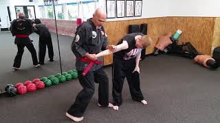 Practical Hapkido and the Secrets