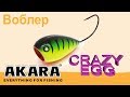 Обзор воблера Akara Crazy Egg 55F