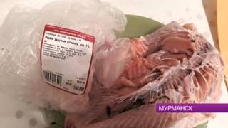 Начался конкурс видео В Житомирской области начался конкурс