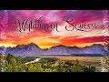 The Wyldhaven Series