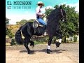 EL MECHON / Friesian Stallion / Alta Escuela Y Baile - Club Ecuestre SM -