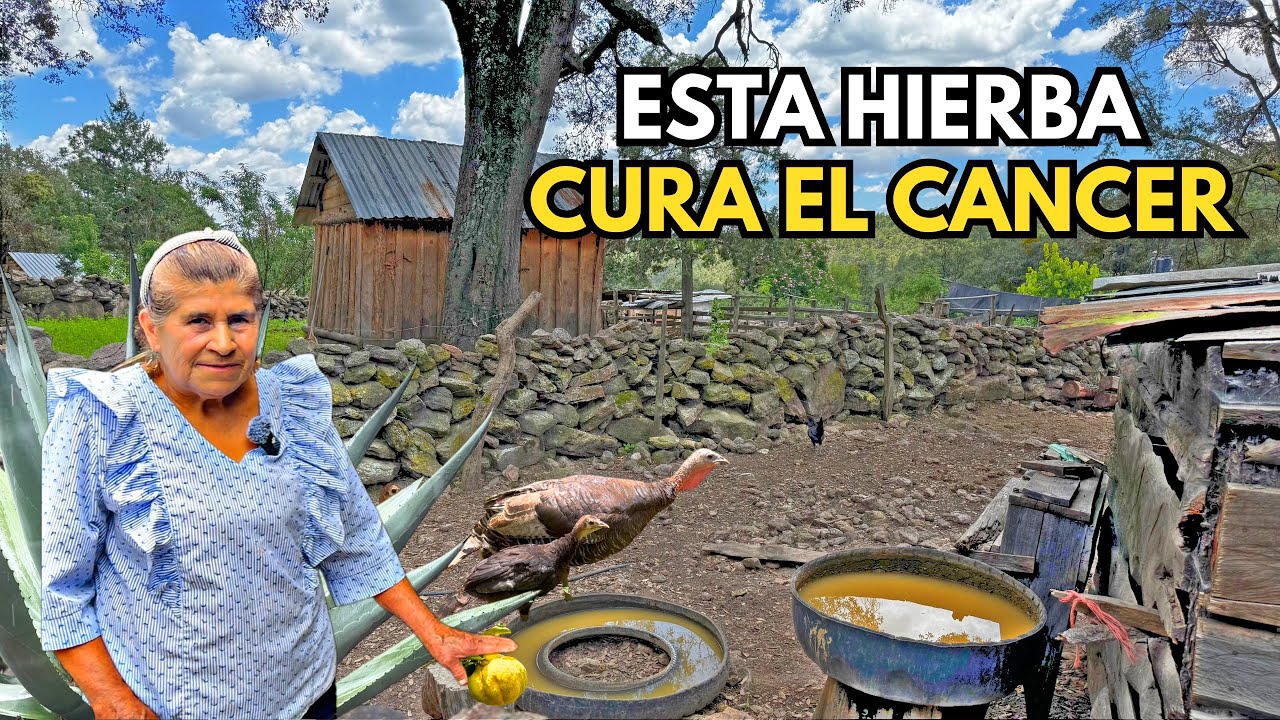 46 AÑOS DE VIVIR SOLOS LEJOS DE TODO, DONDE LAS PLANTAS CURAN ENFERMEDADES