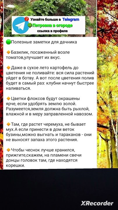 Полезные советы и заметки для дачников и огородников - YouTube