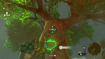 [DAY 142] of finding one korok seed in TotK everyday until a new Zelda game comes out