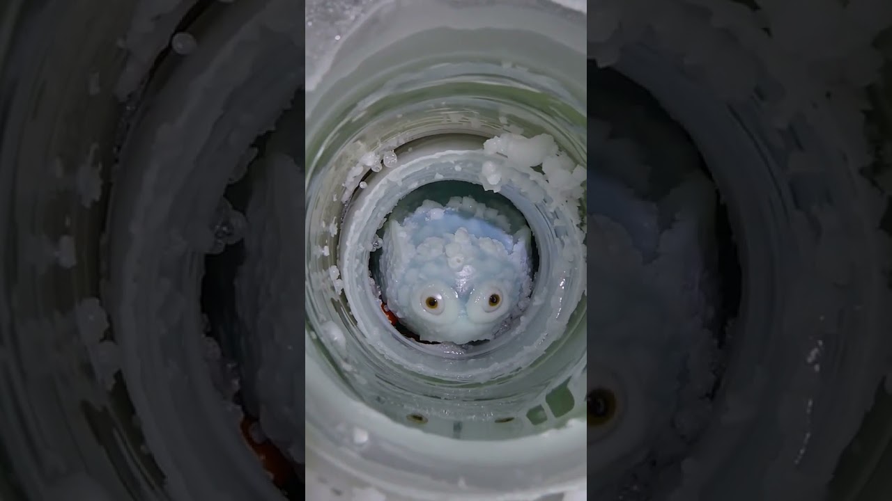 🏔️ Unveil the truth of skinwalkers and ancient mysteries! 🔍 #skinwalkers #icecores #beyondtheicewall