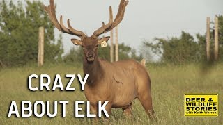 Elk Farming 'Crazy About Elk'  | Deer & Wildlife Stories