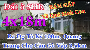 🌐 Chủ Về Quê Cần Bán Gấp Đất Thổ Cư Shr ,Xd Tự Do Gần Đg Tô Ký Chợ Ba Bầu Hóc Môn Giá Thương Lượng