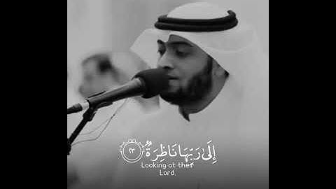 سورة القيامة من آية ﴿٢٠﴾ إلى ﴿٢٥﴾ | أحمد النفيس |حالات واتس | مقاطع انستقرام