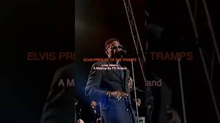 Elvis Presley Vs The Trammps  Love Inferno elvispresley discoinferno burninglove shorts disco