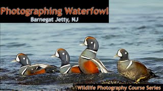 Barnegat Jetty NJ  Wild Photo Adventures