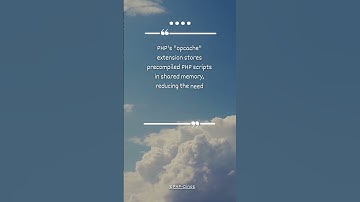 The PHP opcode cache extension stores precompiled scripts in memory