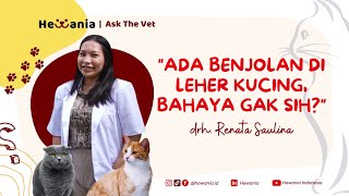 ADA BENJOLAN DI LEHER KUCING, BAHAYA GAK SIH?