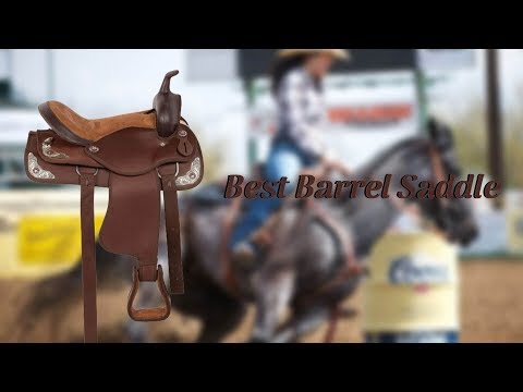 Vidéo: Top 5 des races de chevaux pour le barrel