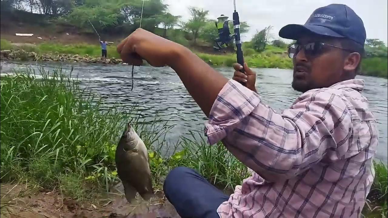 back to back tilapia fish catching tilapia fishing 📍spot hook 🎣