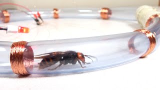 オオスズメバチで発電してみた