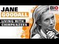 Jane Goodall: Living with Chimpanzees