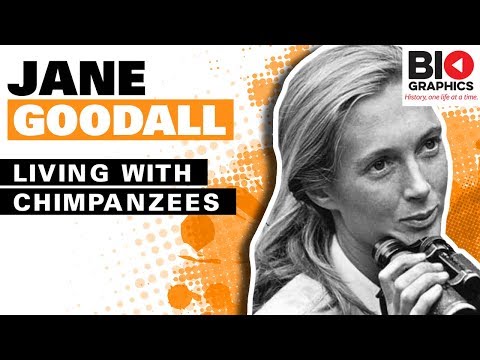 Jane Goodall: Living with Chimpanzees