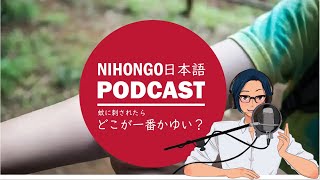 【カジュアル】蚊に刺されたら、どこが一番かゆい？？ || Native japanese listening podcast