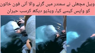 Wheel fish return i Phone that thrown in sea Video Viral