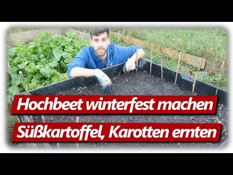 Video: Wie Füttere Ich Knoblauch Im Juni? Top-Dressing Am Ende Des Frühlings-Knoblauch-Monats Und Mitten Im Winter. Wie Füttere Ich Den Kopf Mit Volksheilmitteln?