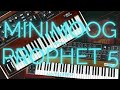 Minimoog Model D 2022 Reissue With Sequential Prophet 5 Rev 4 // NO TALKING