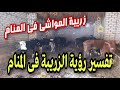 تفسير رؤية الزريبة فى المنام لابن سيرين رؤية زريبة المواشى 