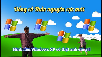 DỒNG CỎ 68 MỘC CHÂU, ĐỒNG CỎ WINDOWS lDu lịch Mộc Châu #21