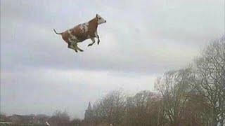 Mengidentifikasi Perbedaan Antara Array Satu Dimensi Dengan Array Multi Dimensi