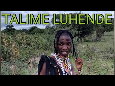 TALIME LUHENDE HARUSI KWA LUTONJA MALANDO SALANGI TV MSAMBAZAJI