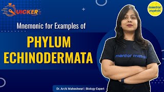 Mnemonic for Examples of Phylum Echinodermata | Examples in 1 Minute | Mentor Match