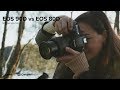 Canon EOS 90D vs EOS 80D | Comparison Review