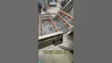 MÁY RỬA RAU CỦ QUẢ ĐA NĂNG