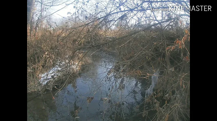 How to make Pinch point sets/pocket/culvert sets for Mink and Muskrat