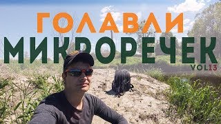 Голавли микроречек