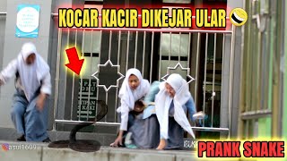Prank Lempar Ular Mainan Sampe Kocar Kacir