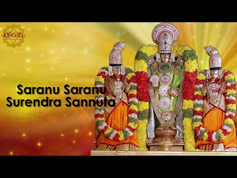 Saranu Saranu Surendra Sannutha