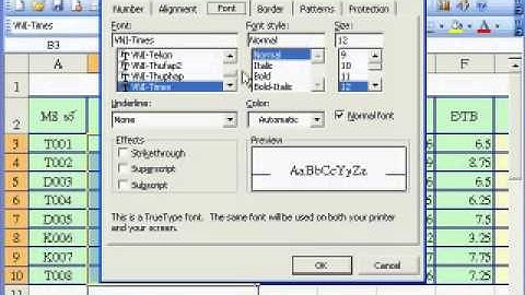 hướng dẫn sử dụng MS Excel 2003 phần 4.mp4