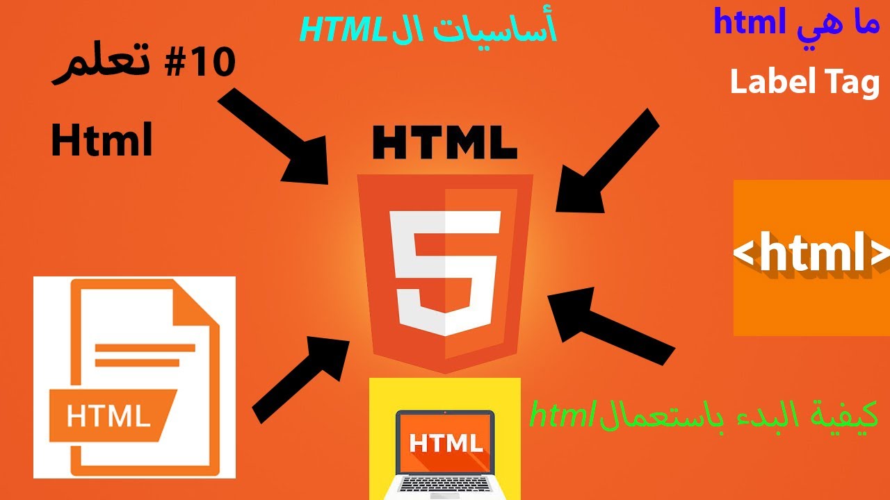 Label html что это. Label html. Атрибут Label html. Label CSS. اضافة فيديو من اليوتيوب الى صفحة html.