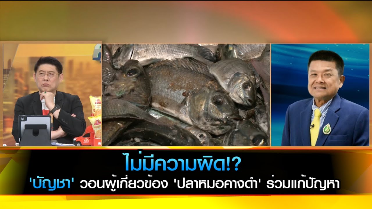ไม่มีความผิด!? 'บัญชา' วอนผู้เกี่ยวข้อง 'ปลาหมอคางดำ' ร่วมแก้ปัญหา