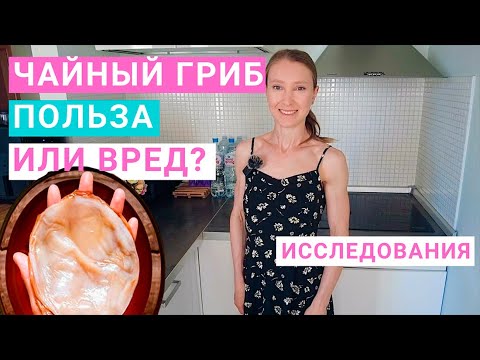 Чайный гриб: польза или вред. Чайный гриб в домашних условиях. Как приготовить комбучу дома?