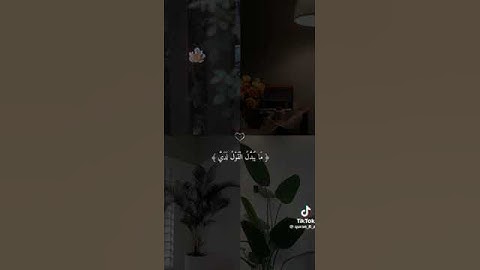 #صوت_رائع #صوت_رائع #فيديوهات_دينية_قصيرة #shortvideo #القرآن_الكريم_راحة_نفسية #تلاوة ❤️