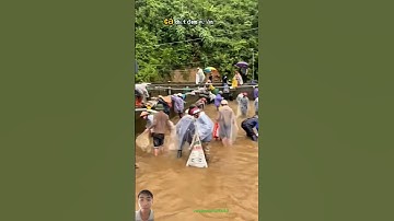 Trại Cá Tầm ở Lào Cai cho người dân nhặt cá về ăn chủ trại bị thiệt hại nhiều hơn