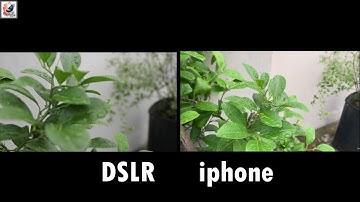 DSLR VS iphone 12 Pro Video Quality Comparison Test |  Video Test DSLE VS iphone 2019