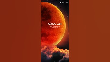 قرآن #ياسر_الدوسري #سورة المؤمنون